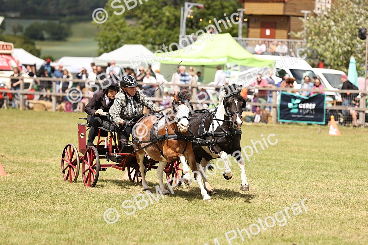 SBM_16043 - Class 91 - Scurry  exceeding 122cms
