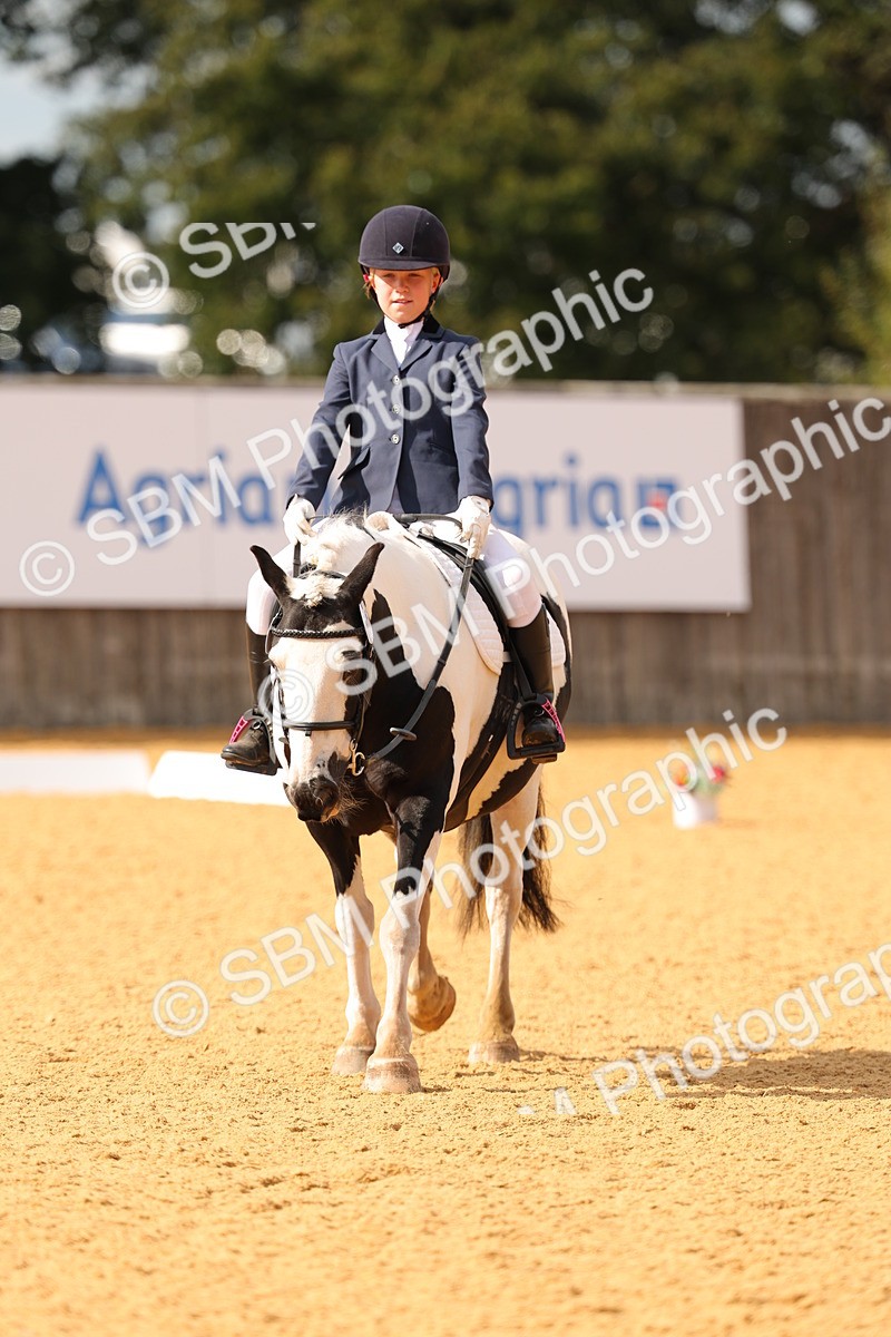SBM_48294 - D22 - Junior Championship - Intro B