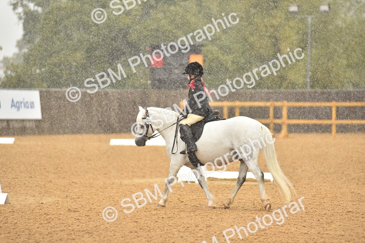 SBM_34728 - D26 & 27 Starter Test 1