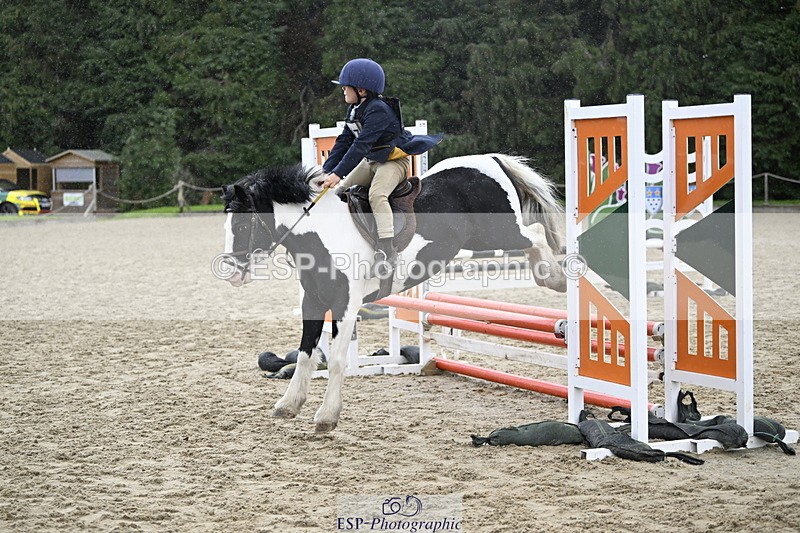 251005A-120206-03586 - Cls 08 Mini 70-75cm