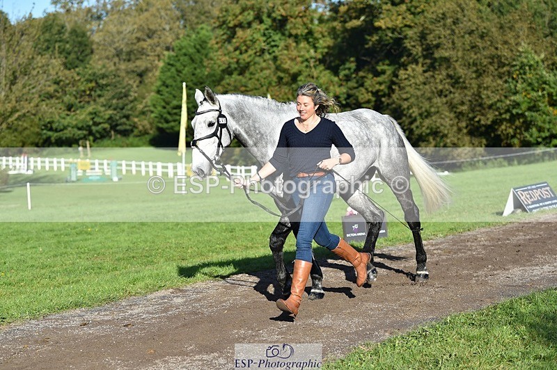 231022-104024-22655 - 445-CRUISING.BORO-Lucy.Knight-TrotUp+SJ