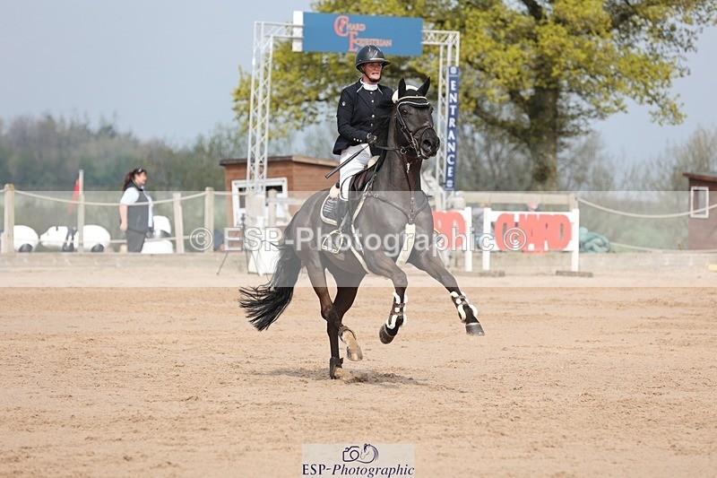 250424-104450-03205 - Cls 33 Young Horse 7yr old