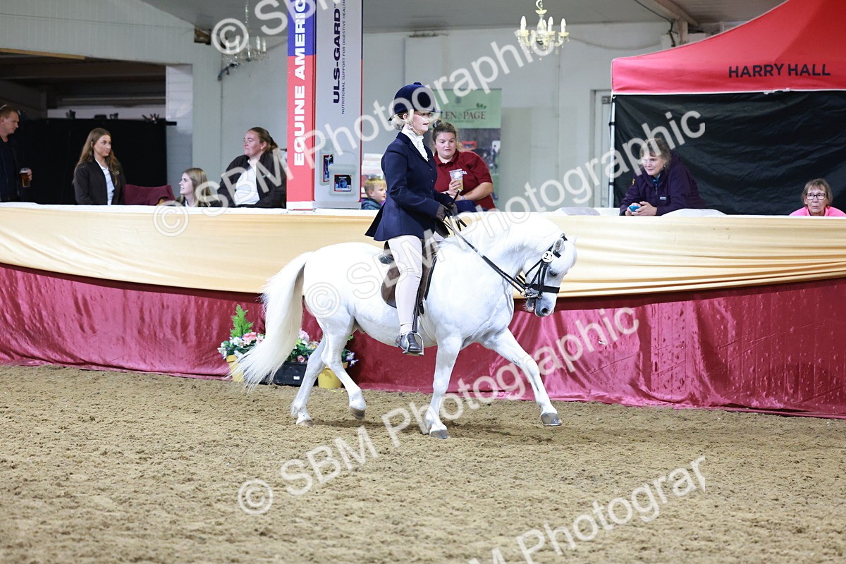 SBM_21061 - Class P - M&M Champs