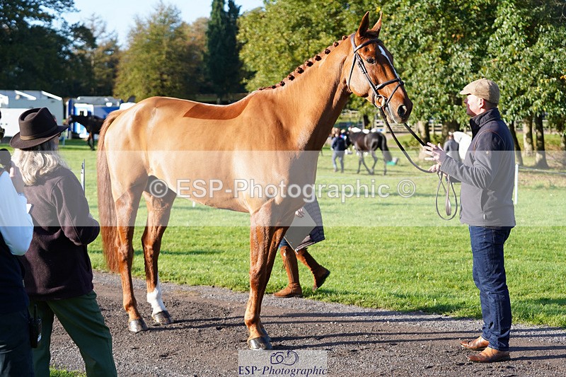 241026-100242-11563 - 054-Matthew.Heath-DASSETT.VENTURE