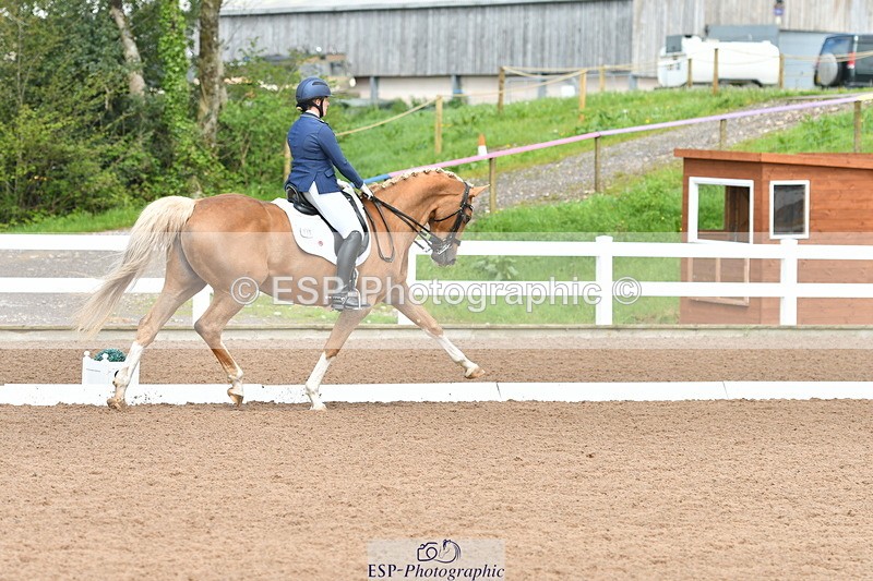 230511A-144641-01000 - BD Cls 14 Adv Medium 98