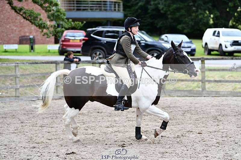 240825X-173942-37093 - 80cm SJ 16.00 to 17.26