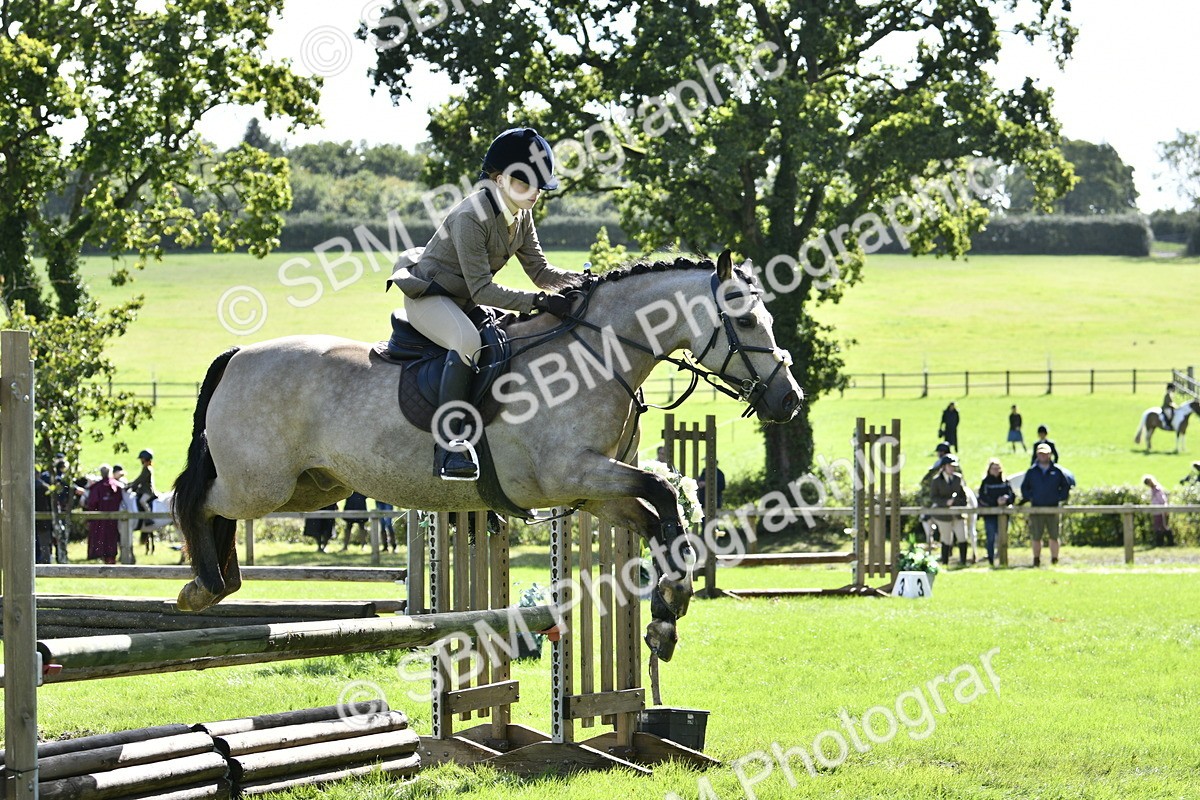 SBM_45725 - S33 - Working Hunter Pony