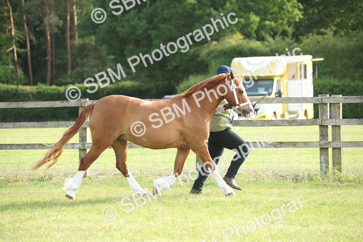 SBM_10585 - Class 33-38 - SSADL RIHS Qualifiers