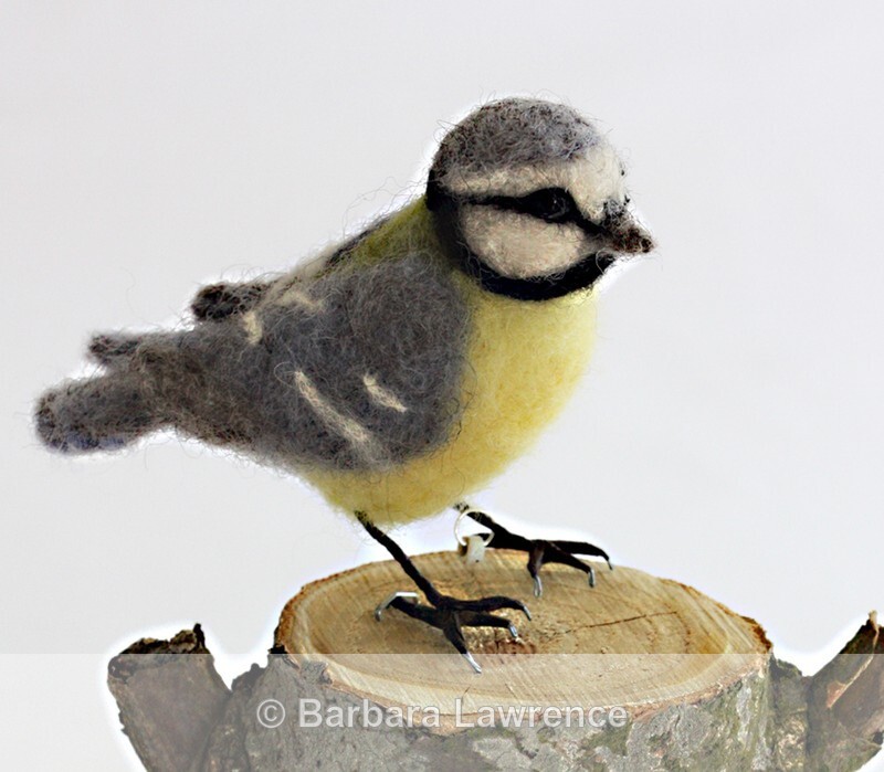 Blue Tit - Gallery