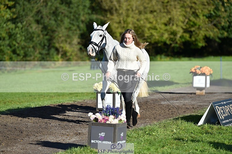 231022-101024-22280 - 443-OVERLEY.STORMBREAKER-Laney.Cridland-TrotUp+SJ