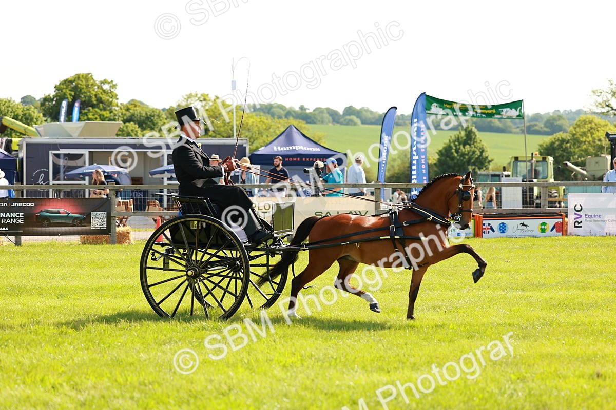 SBM_02585 - Class 2-4 - HOYS Private Driving