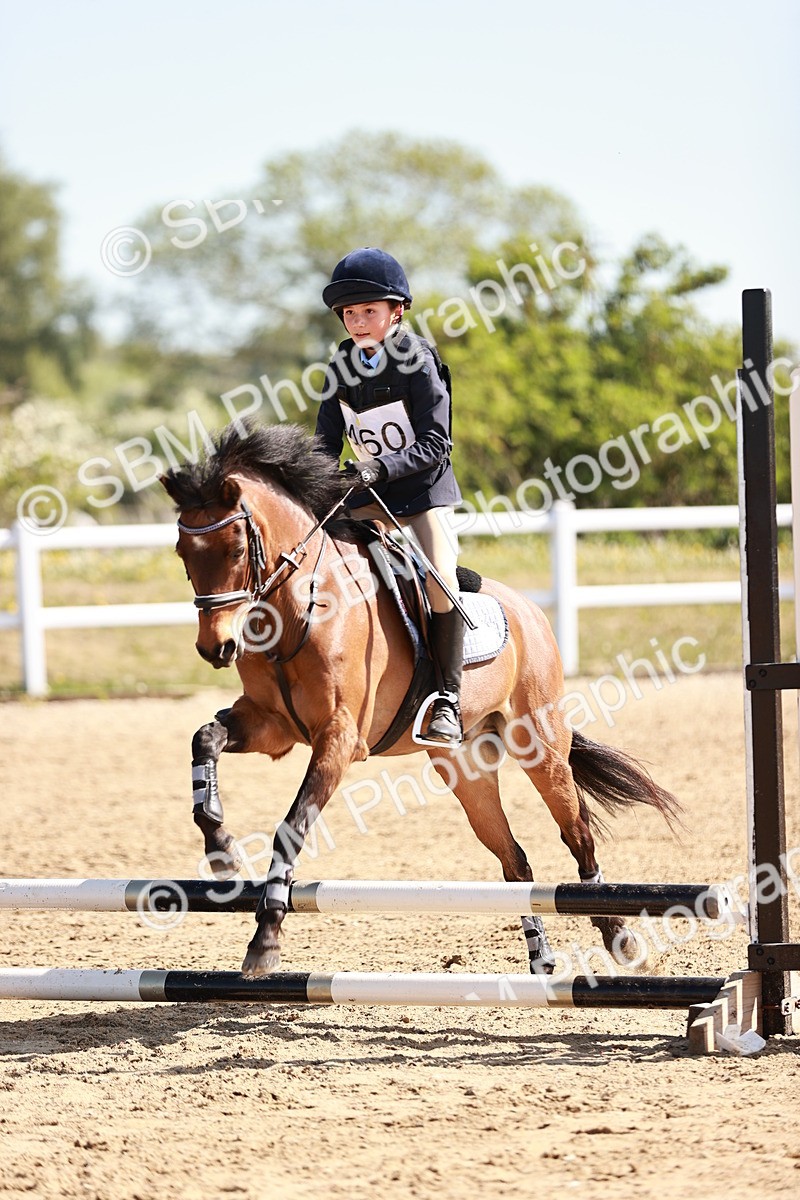 SBM_006812 - Class 2 - 50cm