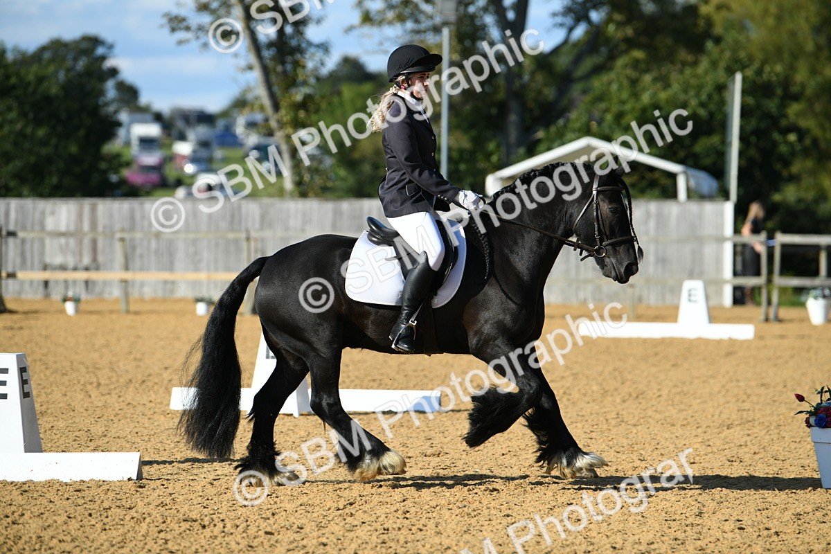 SBM_28458 - D16 - Small Tour Championship - Novice 28