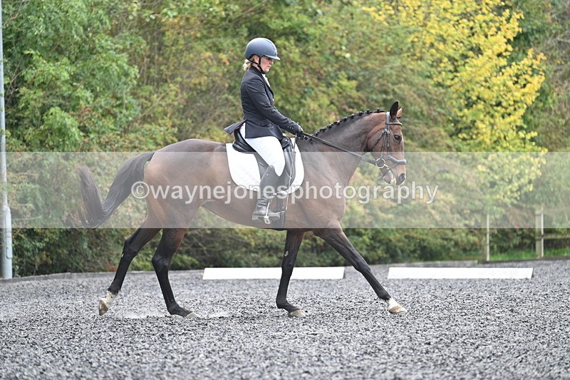 WJ7_3903 - Time 11:04 to 11:38