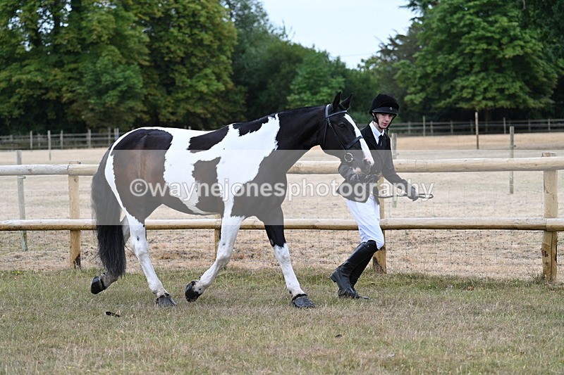 WJ7_8836 - Class 4a Prettiest Mare 14.2hh and over