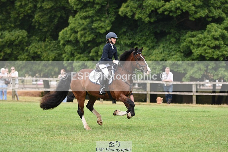 230617-090338-01404 - Cls 15 British Novice & 80cm Open