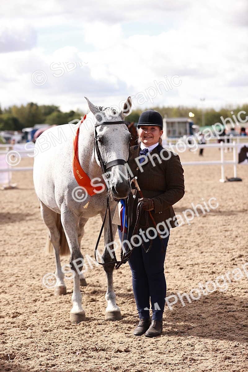SBM_13357 - class 406 - IH Hunter
