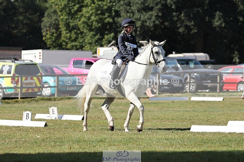 250823A-101335-26995 - Arena C