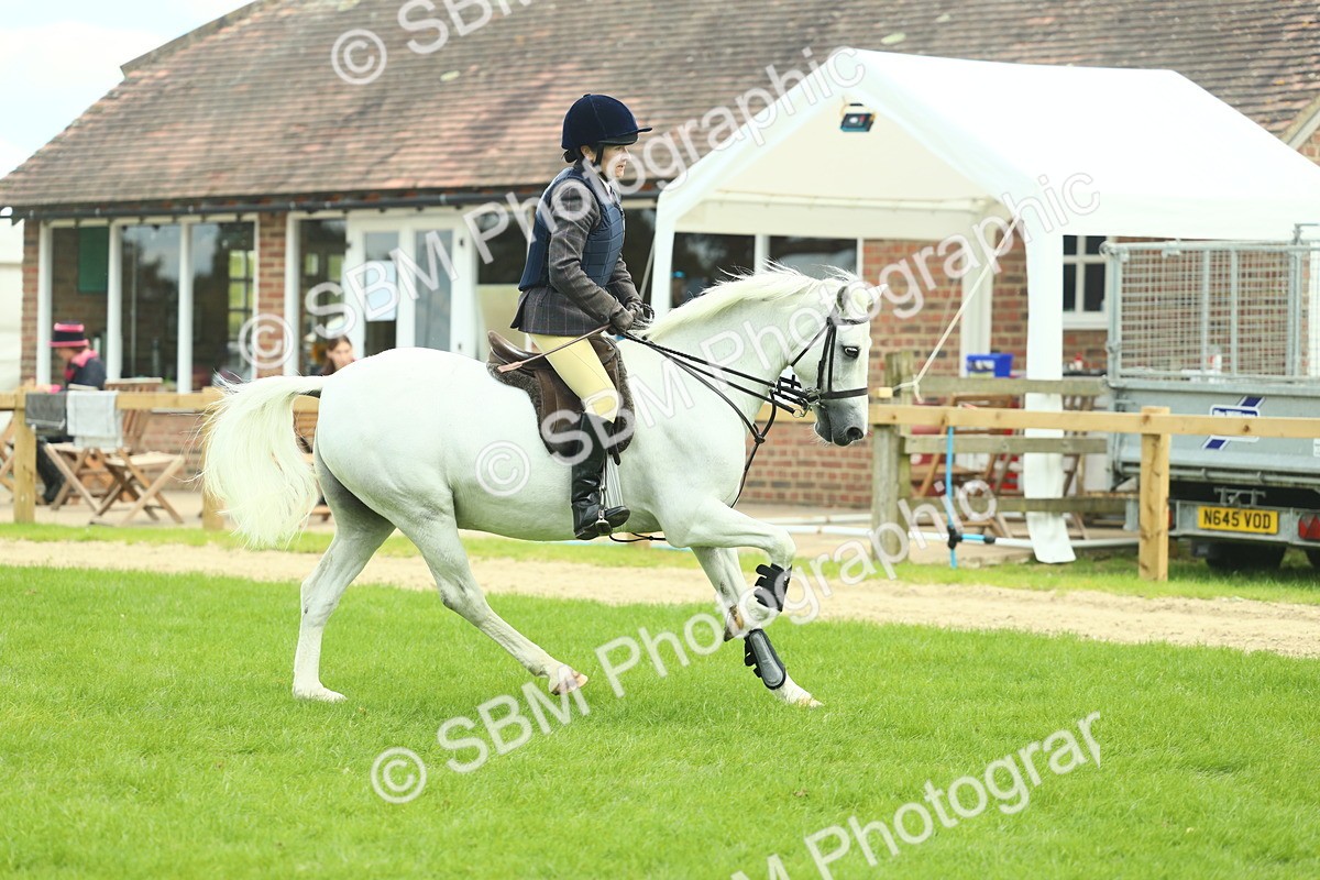 SBM_42796 - S30 - M&M Working hunter Pony