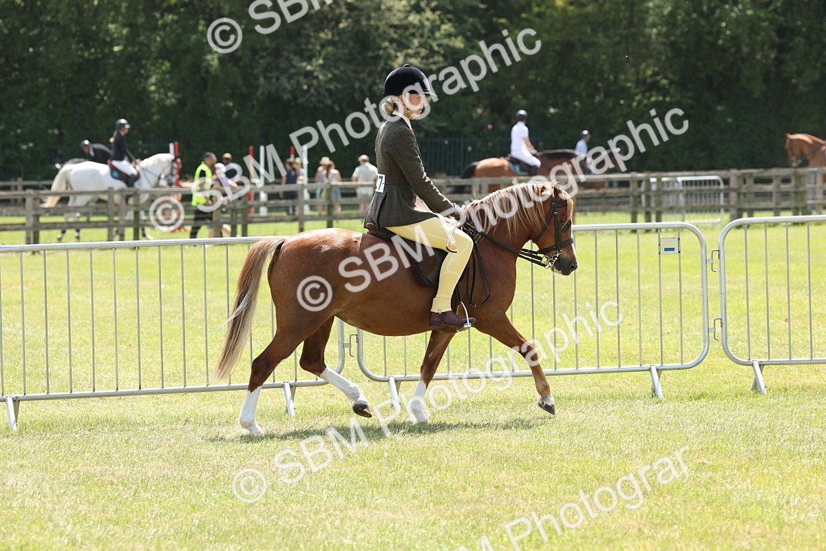 SBM_06722 - Class 26-30 - Mountain and Moorland Ridden