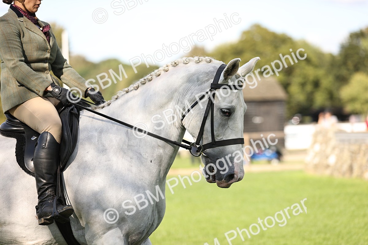 SBM_26375 - S6 - Novice & Newcomers Ridden Horse