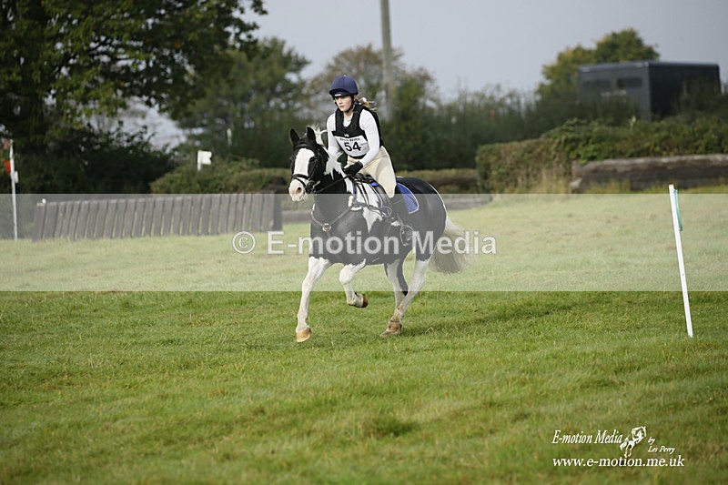  WWHT 171021 0733 - Open Novice (0.80m)  17/10/21