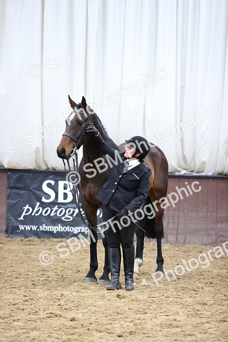 SBM_5766 - Class 3 - BSHA In Hand Show Hunter