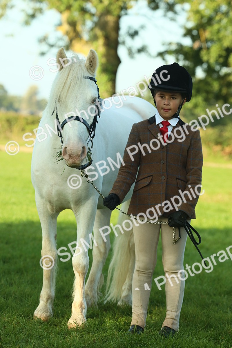 SBM_57508 - S37 - Starters In Hand Showing