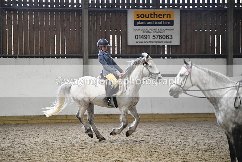 WJ5_7929 - Class 13 Ridden Part Breed