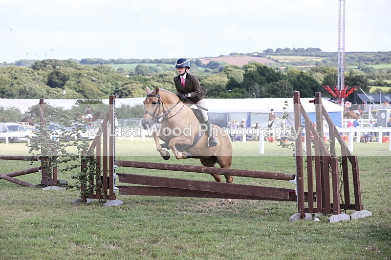 JPP_2710 - Class 20: Working Hunter 70cm