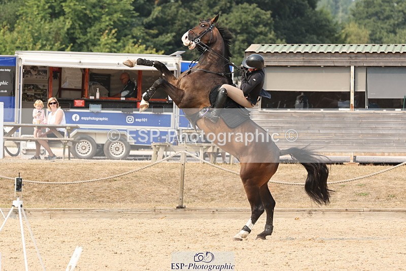 250816A-152508-02429 - Cls 8 Snr Newcomers