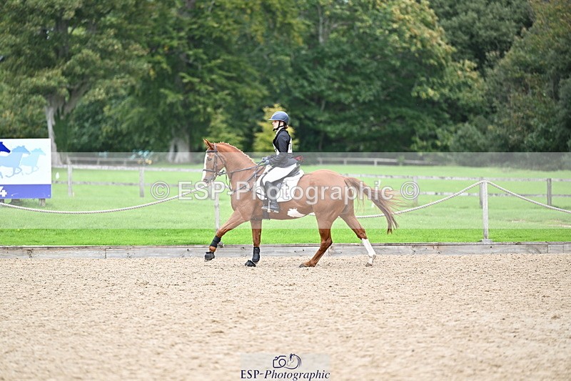 251005A-133825-04112 - Cls 09 Nov 80-85cm