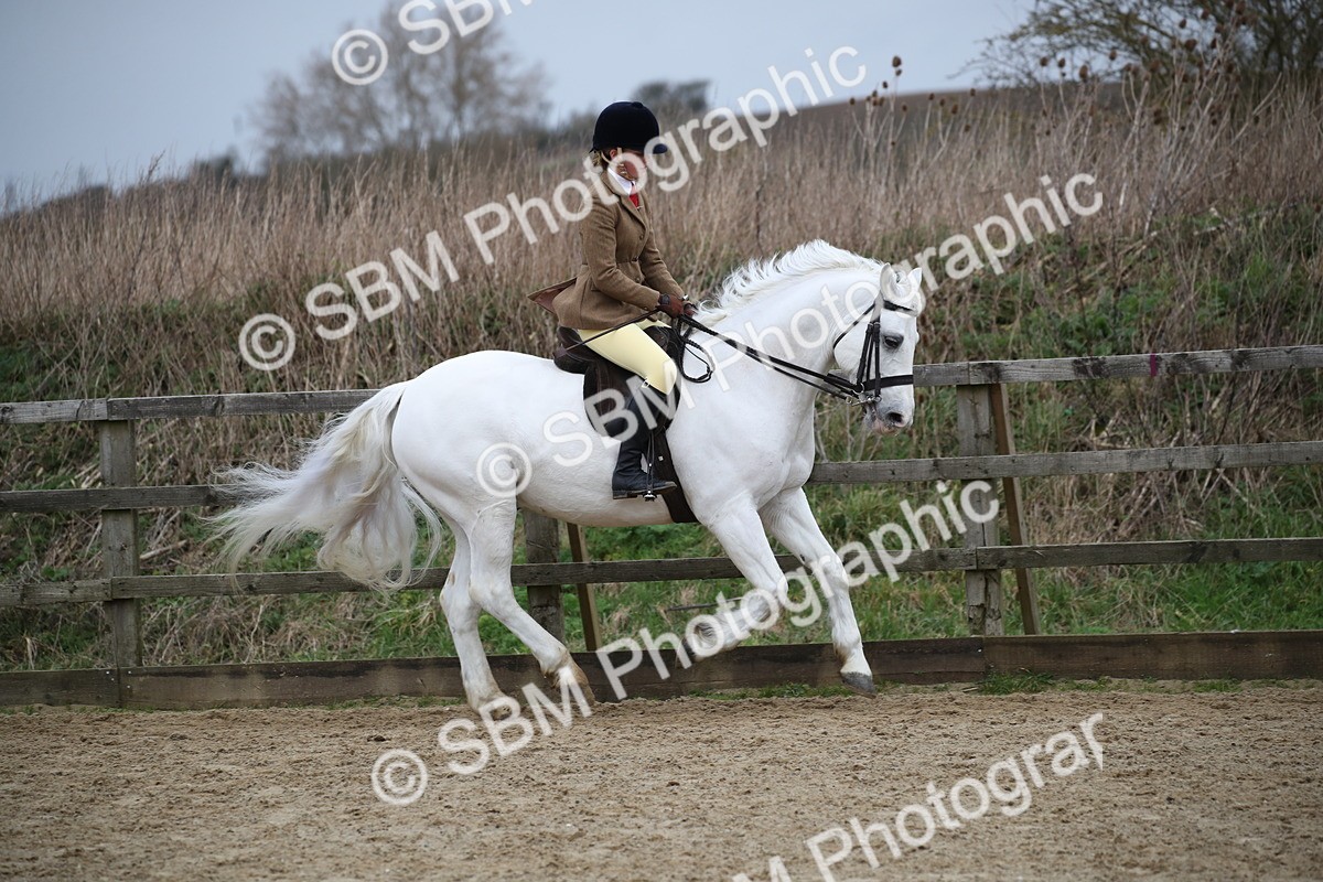 SBM_006126 - Class 10-13 - RIHS Small Large Breeds