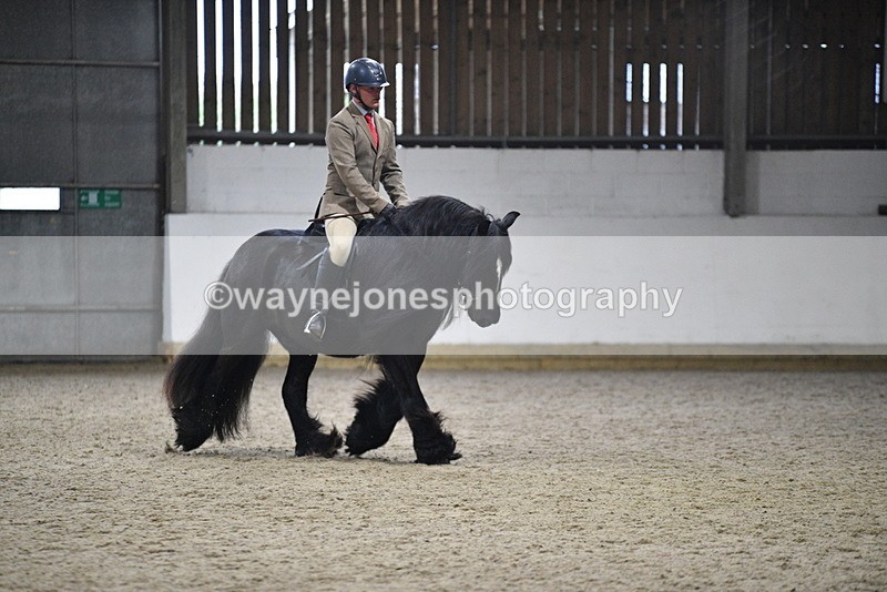 WJ5_8651 - Class 14 Novice Ridden/Rider