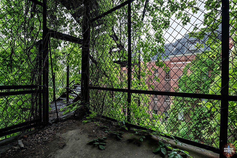  - Returning to Hudson River State Hospital