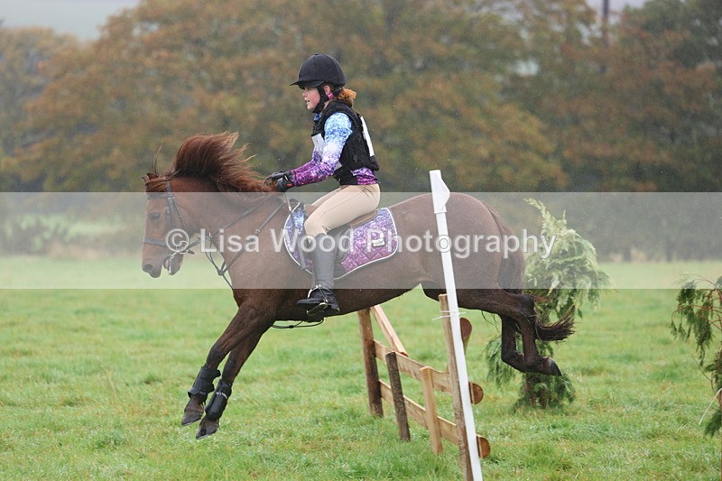 3E7A0771 - Class 1: 65cm: Rails