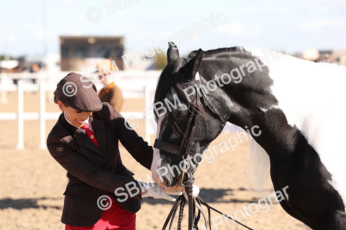 SBM_12953 - Class 206 - IH Non Show Type Pony