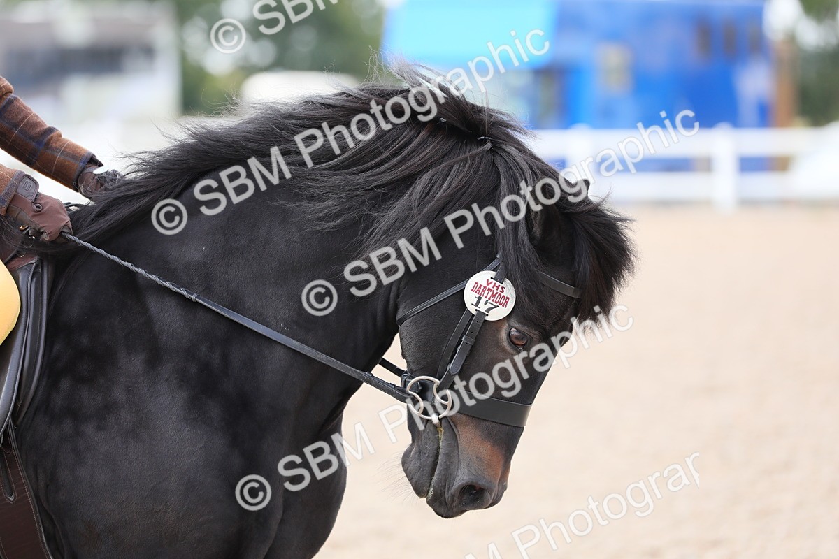 SBM_14693 - Class 310 First Ridden Pony