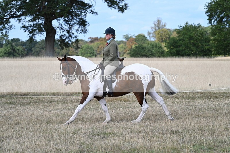 WJ7_6973 - Class 14 Ridden Coloured