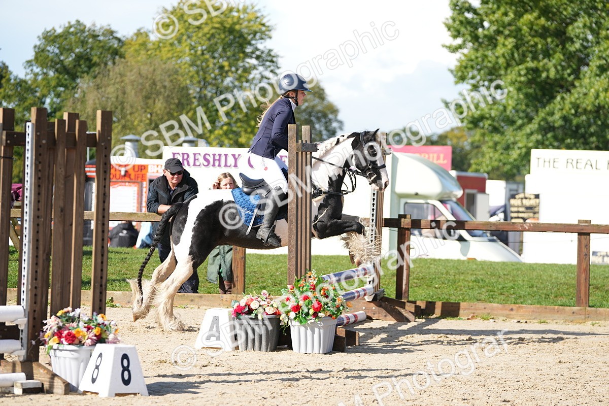 SBM_38183 - J6 - Junior Pony 55cm Championship