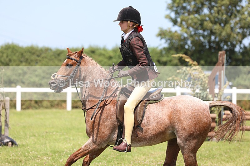 JPP_2966 - Class 22: Working Hunter 70cm