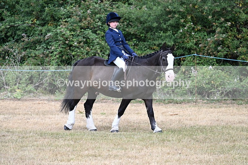 WJ7_0791 - Class 3 Family Mount