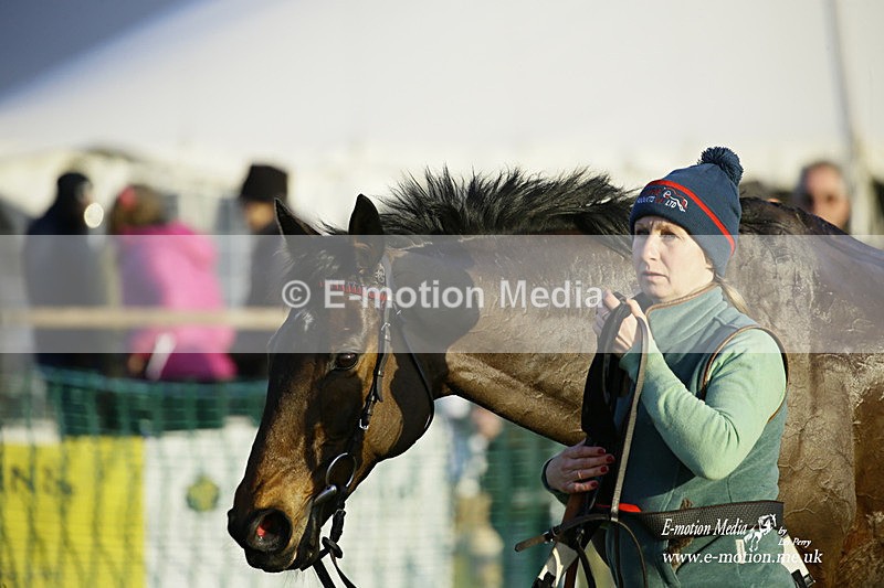 PtP 300122 669 - South Dorset Hunt - Point-to-Point Races 30/01/2022