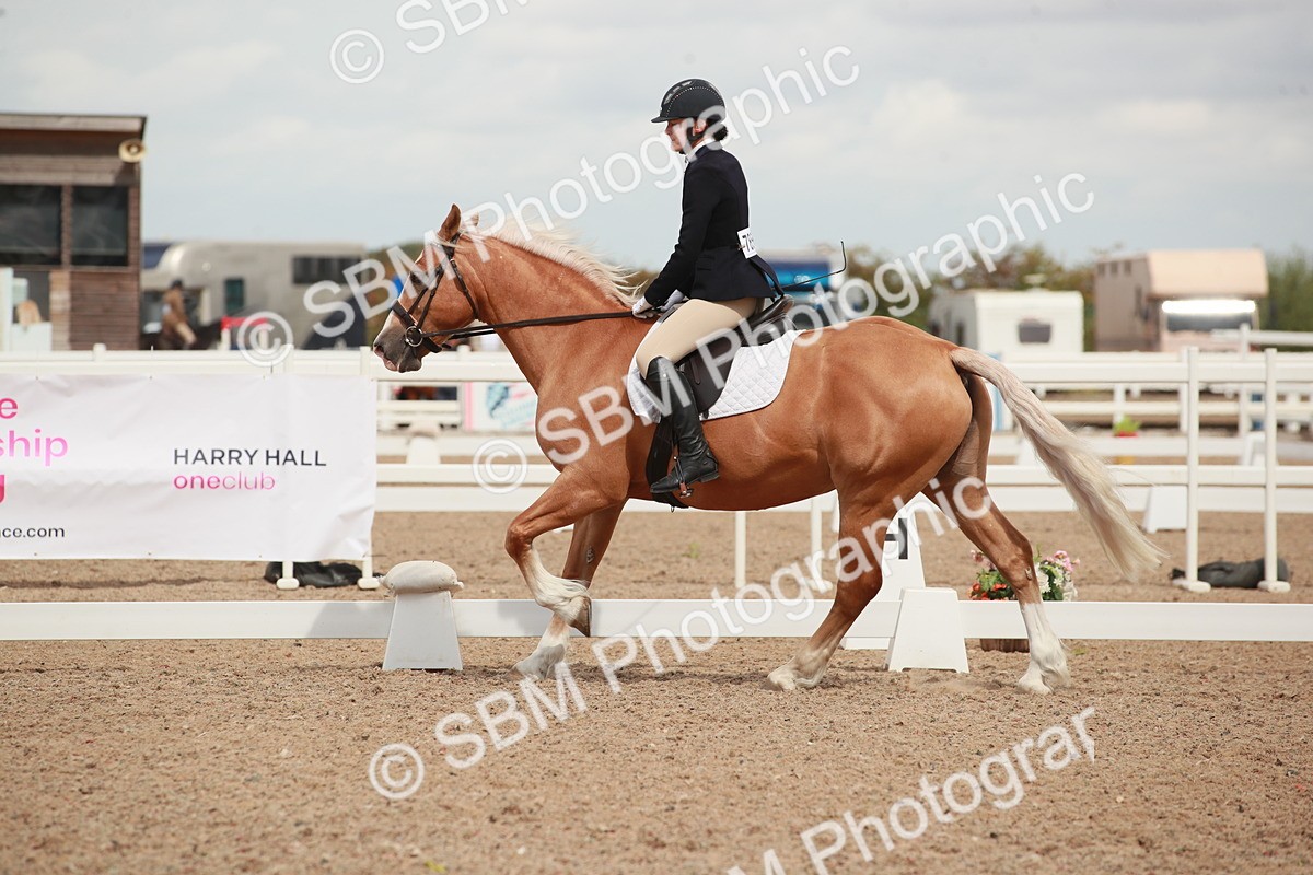 SBM_05897 - Class 32 - Novice 1