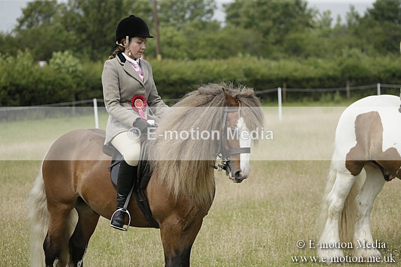 B230619-0459 - Bourne Valley Riding Club Summer Show 23/06/19
