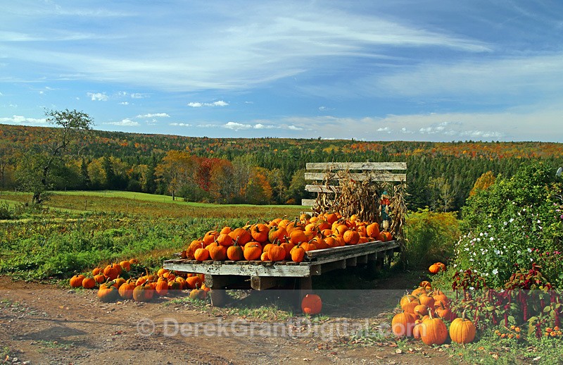 Pumpkin Harvest Wagon - Autumn Festival