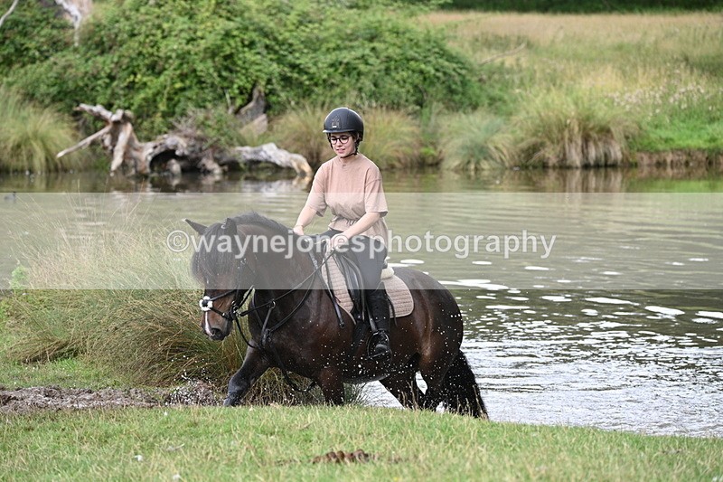 WJ7_4300 - Time at Water 12:52 to 13:22