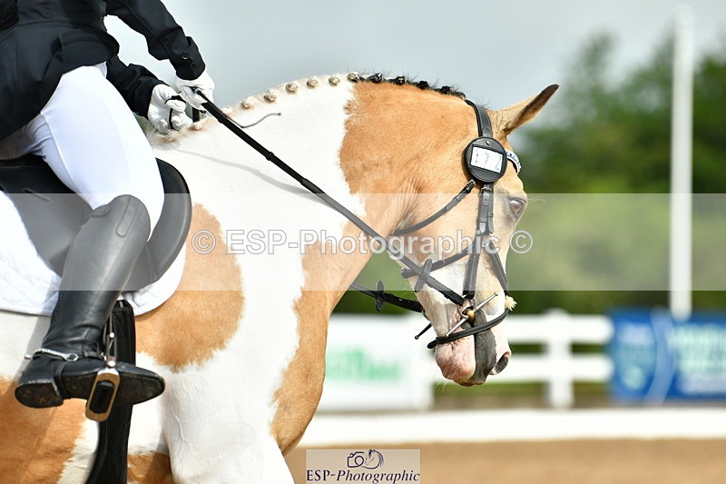 230708A-093632-02159 - Prelim 13