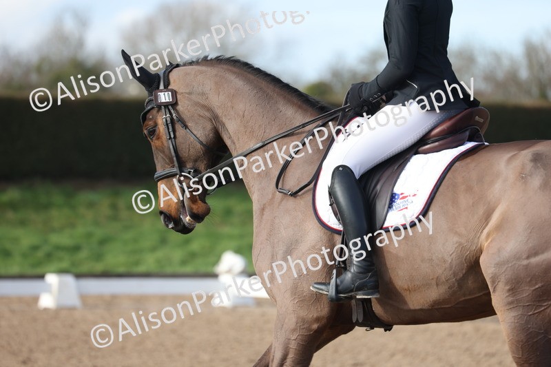 20260128-0390 - Class 4 - Novice 5