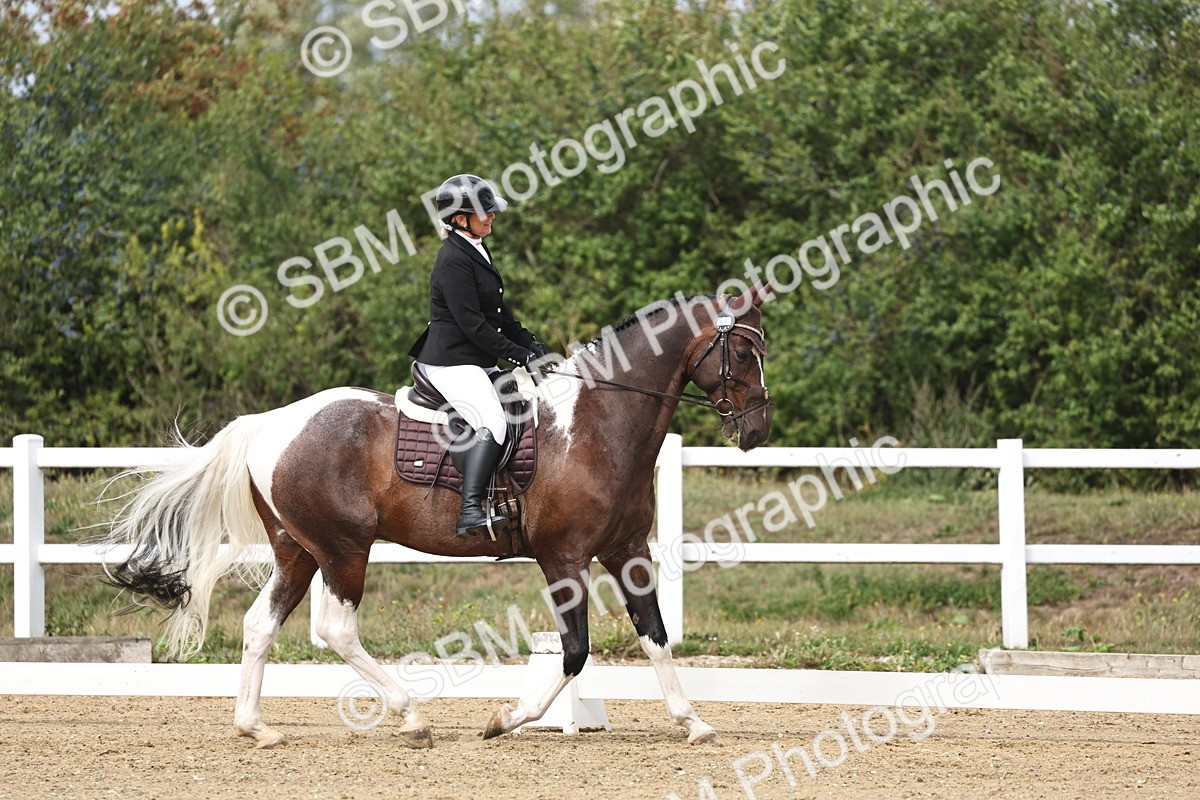 SBM_003626 - Class 8 - Novice 3 Champs